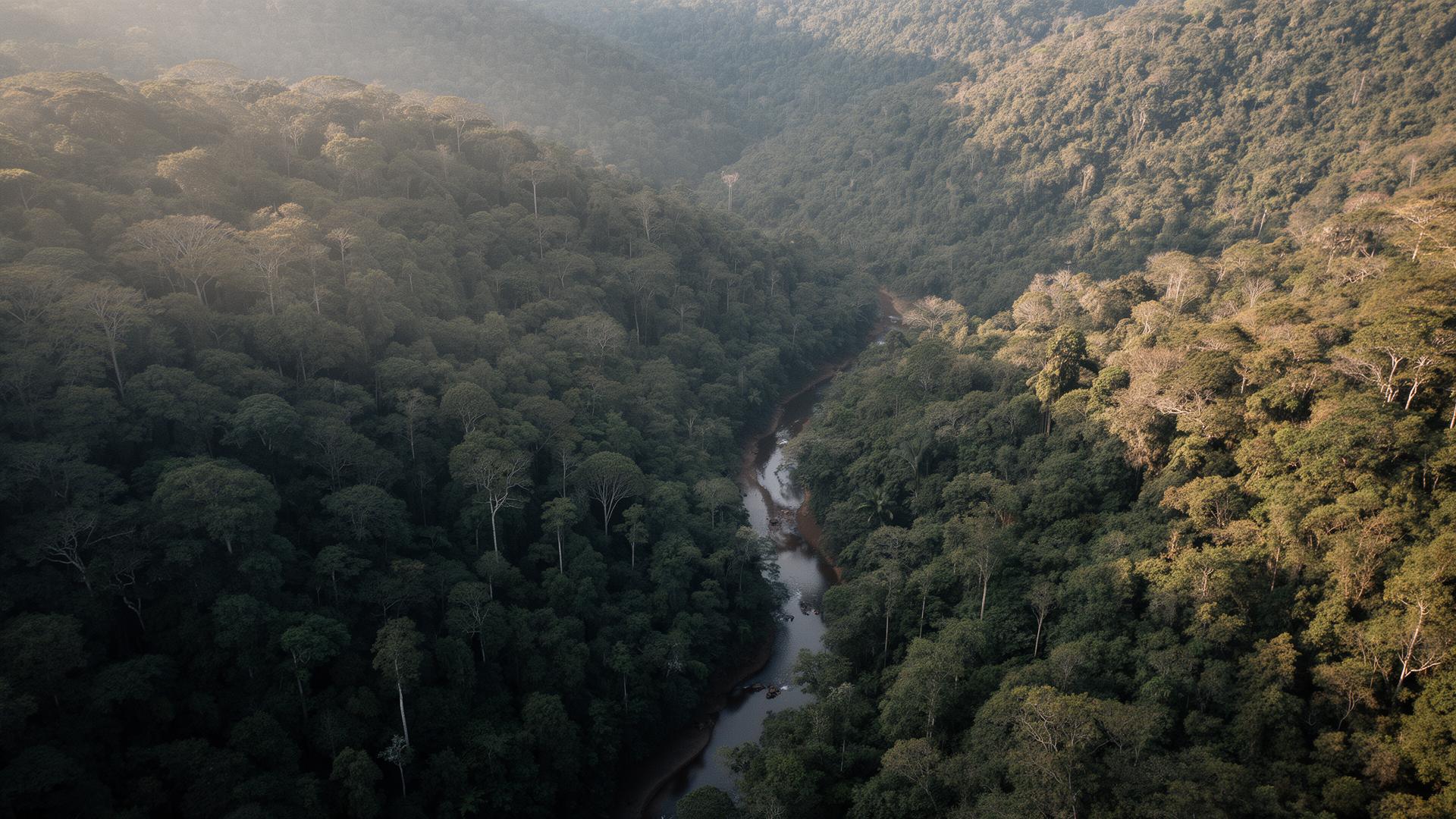 Vista aérea do território